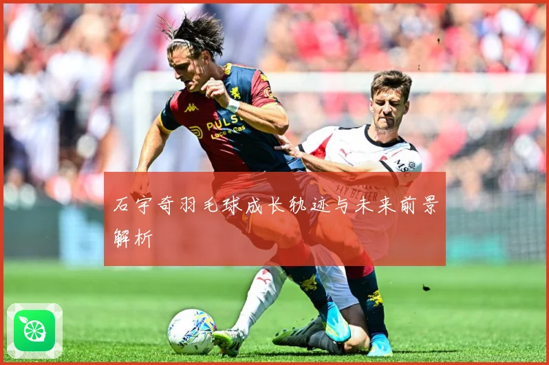 石宇奇羽毛球成长轨迹与未来前景解析