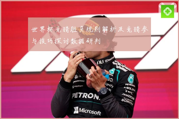 世界杯竞猜胜负规则解析及竞猜参与技巧探讨数据研判