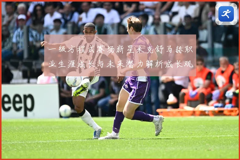 一级方程式赛场新星米克舒马赫职业生涯成长与未来潜力解析成长观察