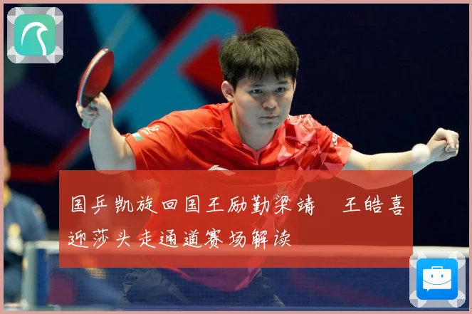 国乒凯旋回国王励勤梁靖崑王皓喜迎莎头走通道赛场解读