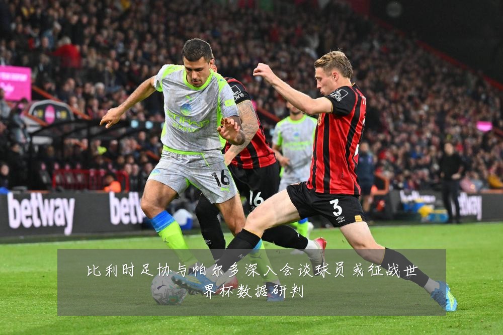 比利时足协与帕尔多深入会谈球员或征战世界杯数据研判