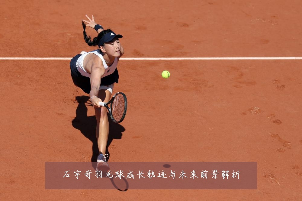 石宇奇羽毛球成长轨迹与未来前景解析