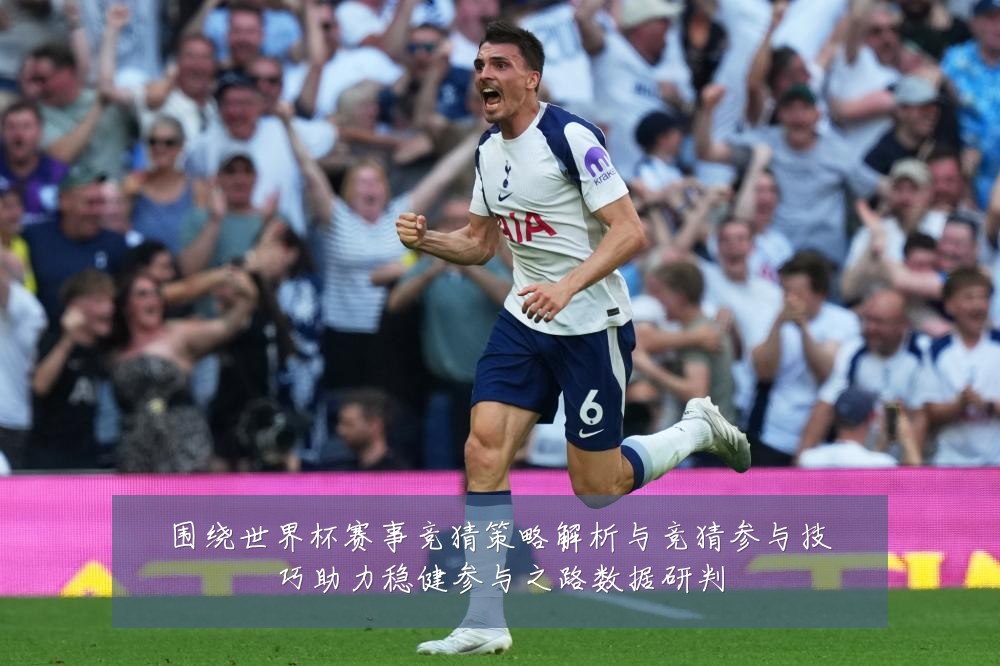 围绕世界杯赛事竞猜策略解析与竞猜参与技巧助力稳健参与之路数据研判