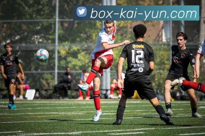 开云平台展示图