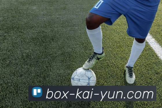 开云官网全站App